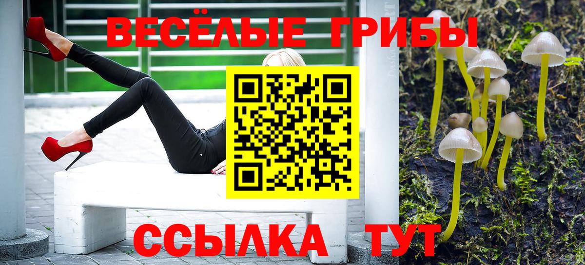 Псилоцибиновые грибы ЛСД Курчатов