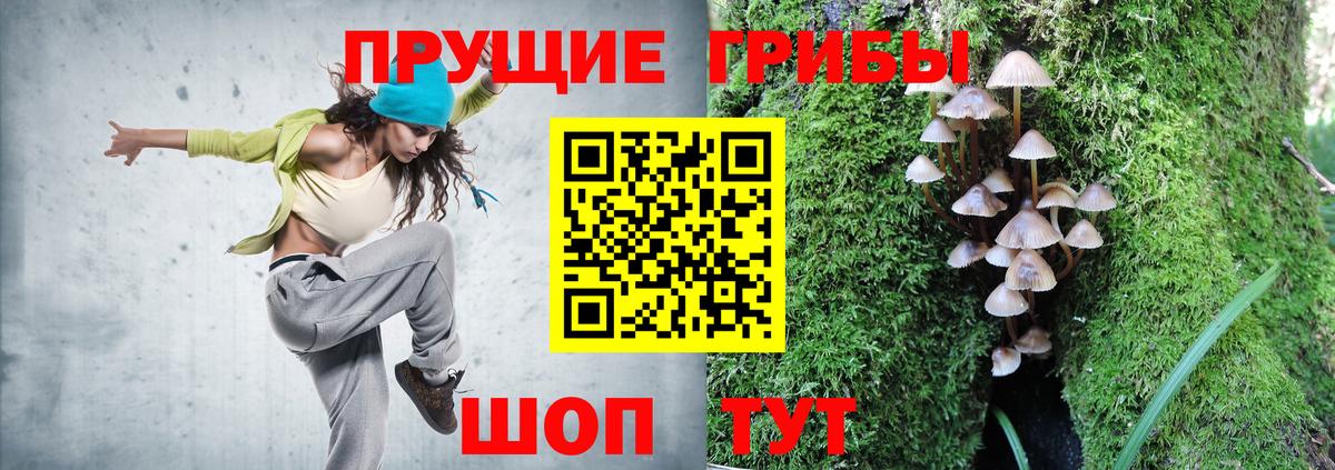 магазин продажи наркотиков  Вход с VPN  Курчатов  Галлюциногенные грибы ЛСД 